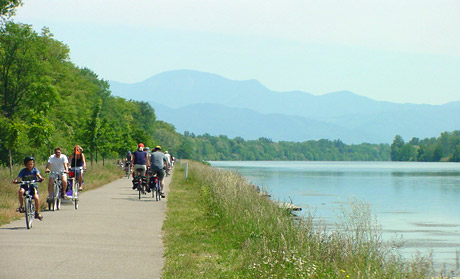 Fahrradfahrer am Althrein